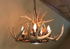 Antler Light