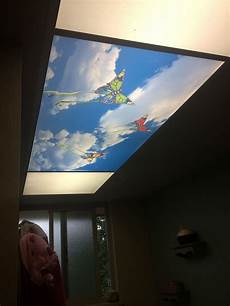 Butterfly Ceiling Light