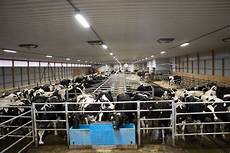 Chicken Farm Lighting