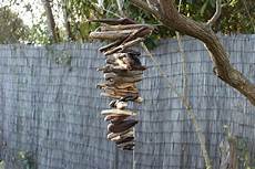 Driftwood Ceiling Light