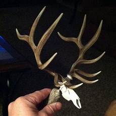 Elk Chandelier