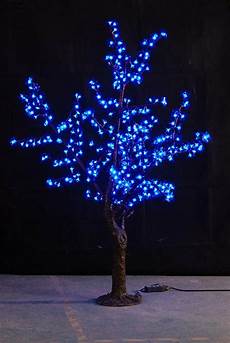 Garden Lighting