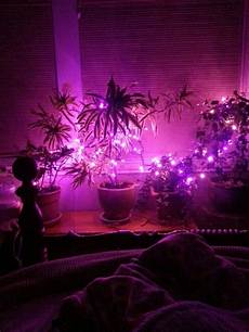 Lamps And Lights