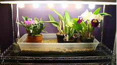 Led Bulbs
