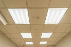 Light Fixture