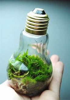 Light Light Lamp