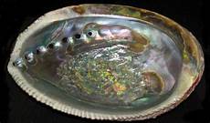 Mother Of Pearl Chandelier