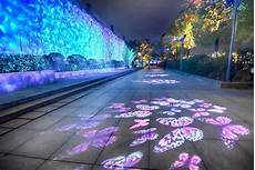Projector Led Lighting