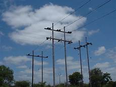 Transmission Poles